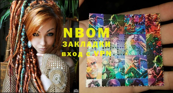 стафф Касимов