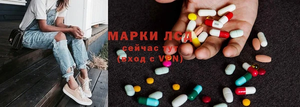 ГАЛЛЮЦИНОГЕННЫЕ ГРИБЫ Карпинск